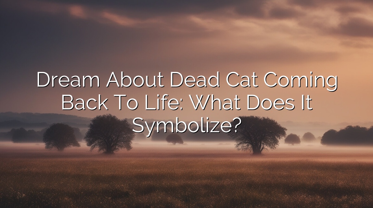 Dream About Dead Cat Coming Back to Life: What Does it Symbolize?